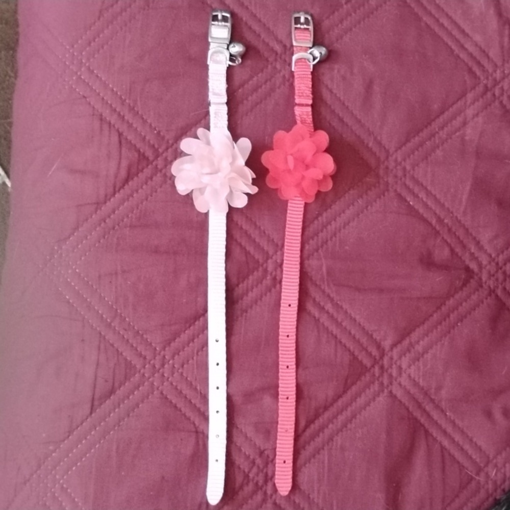 Pet Collars (2 for $15)(NWOT)